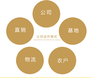 桃李春风食物工业园